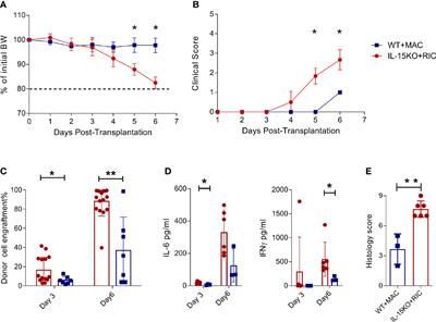 Venetoclax or Ruxolitinib in Pre-Transplant Conditioning Lowers the Engraftment Barrier by Different Mechanisms in Allogeneic Stem Cell Transplant Recipients